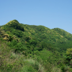 岸岳城