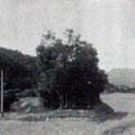 立川の古戦場