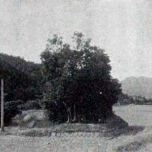 立川の古戦場